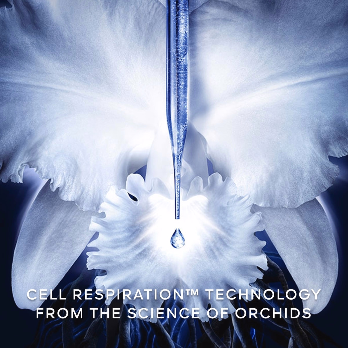 Orchidée Impériale The Longevity Concentrate Orchidée Impériale The Longevity Concentrate