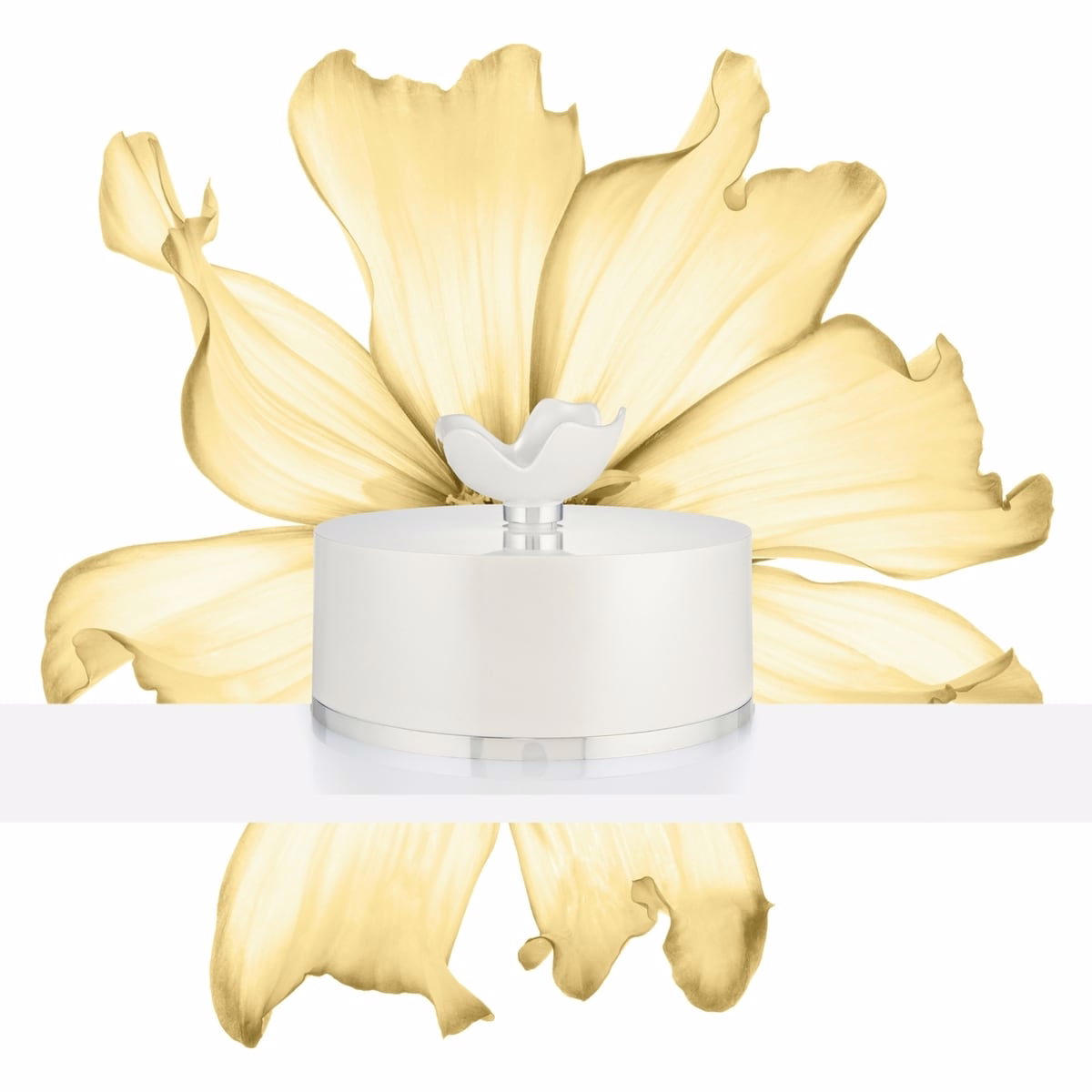 Oscar Woman Dusting Powder Oscar Woman Dusting Powder