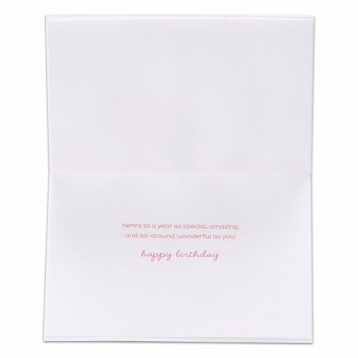 Papyrus Birthday Card (All-Around Wonderful)