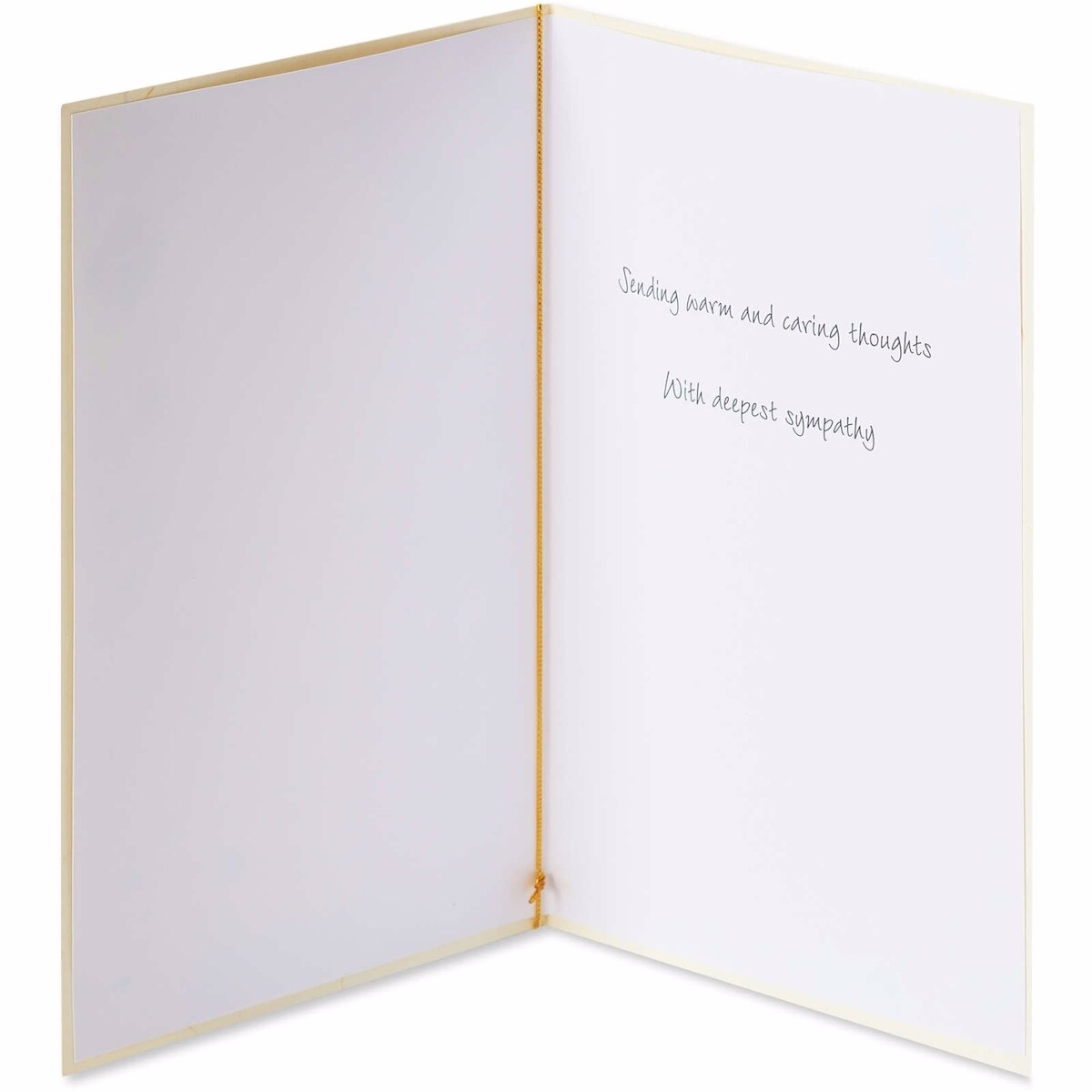 Papyrus Sympathy Card (Warm and Caring Thoughts)