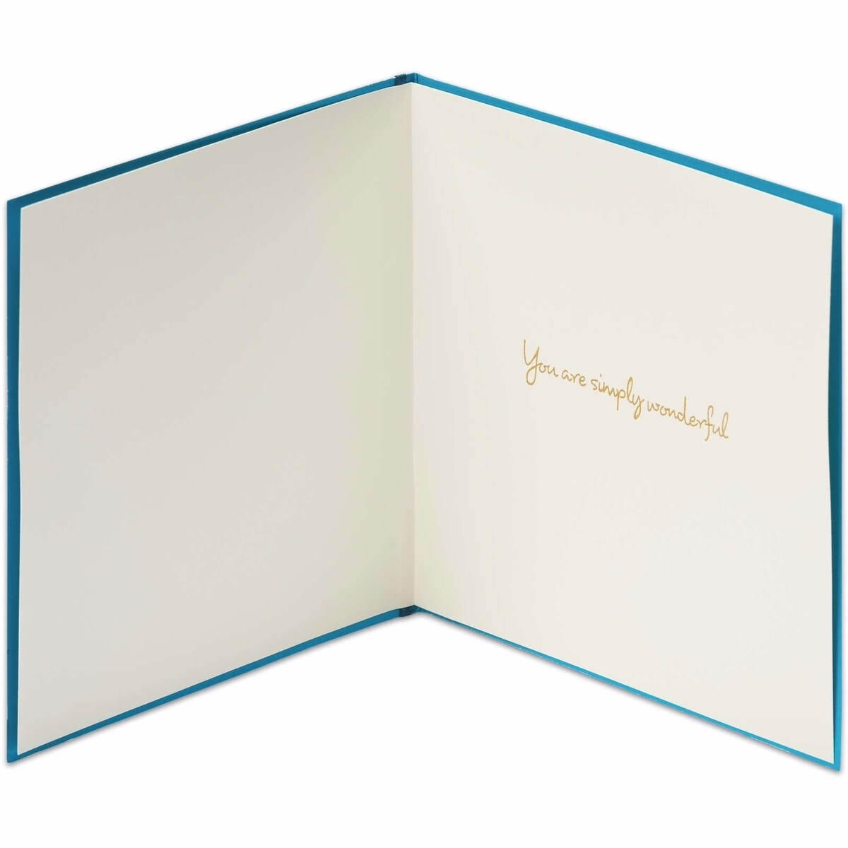 Papyrus Thank You Card (Simply Wonderful)