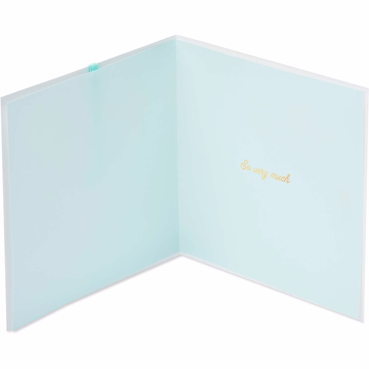 Papyrus Thank You Card (So Very Much)