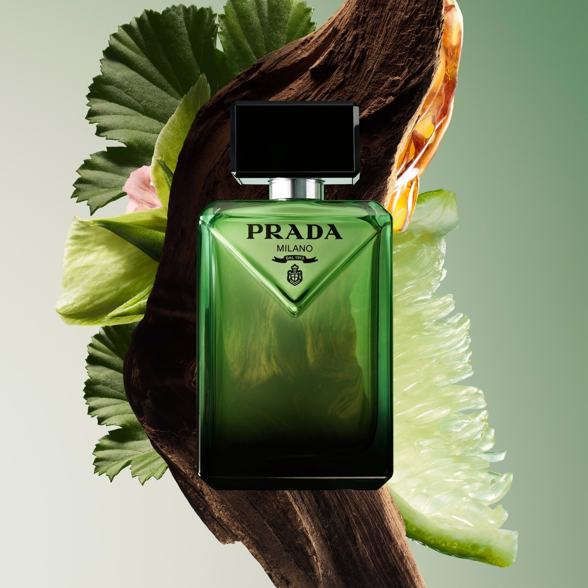 Paradigme Eau de Parfum Gift Set