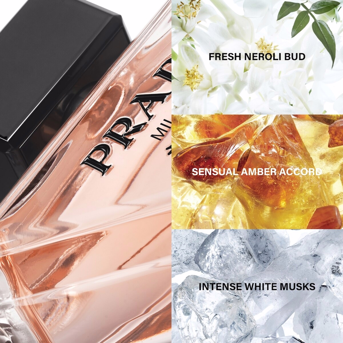 Prada Paradoxe オードパルファム ギフトセット
