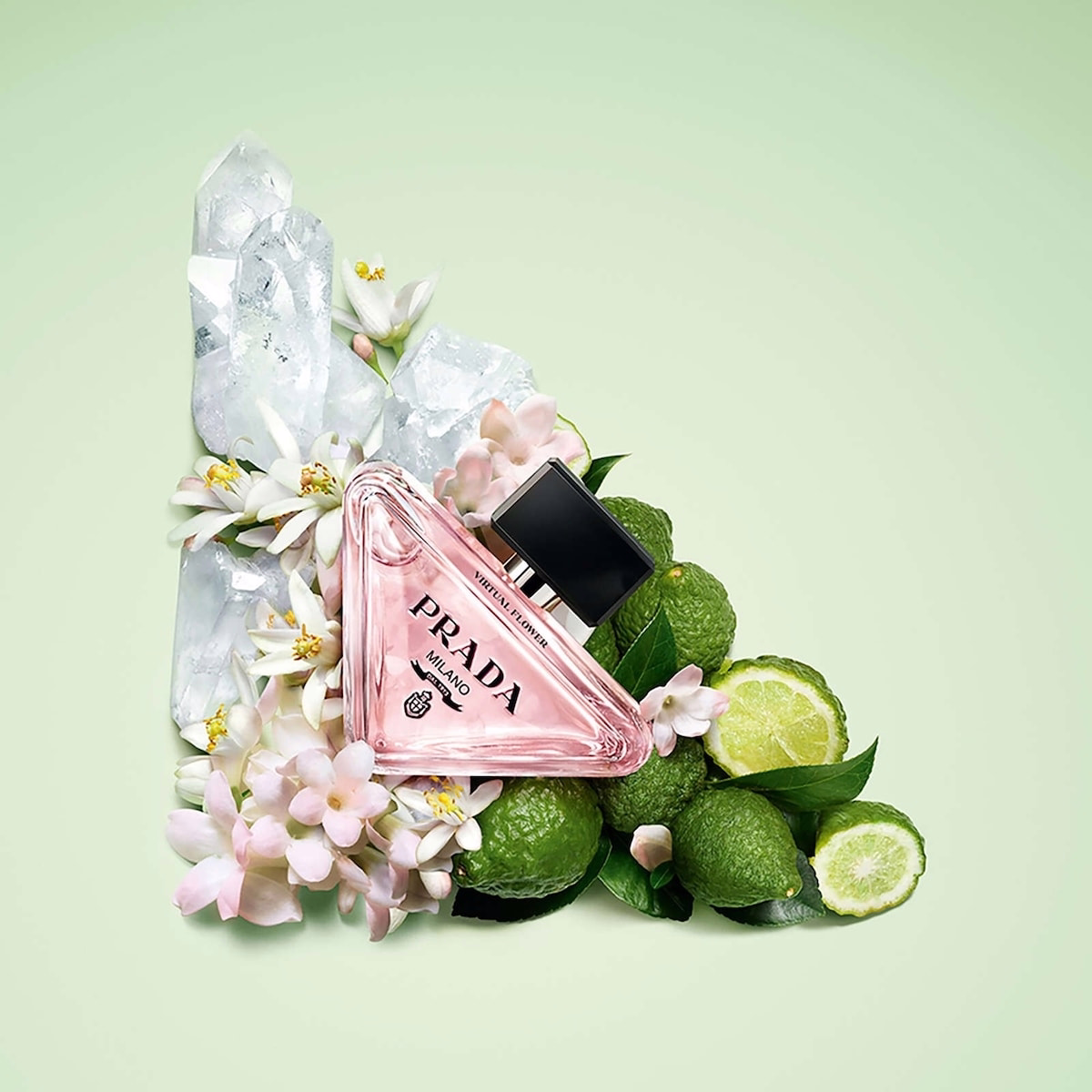Paradoxe 虛擬花香 Eau de Parfum