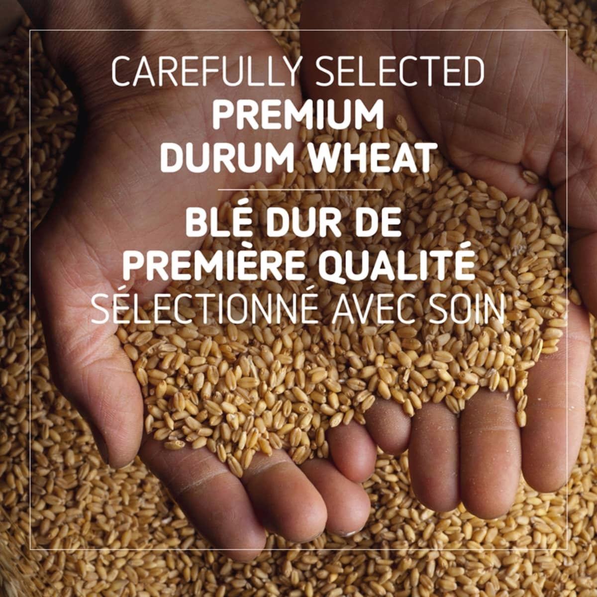 Pasta Rigatoni N° 83 Pasta Rigatoni N° 83