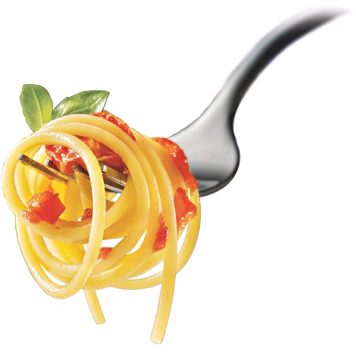 Pasta Spaghetti N°5 Pasta Spaghetti N°5