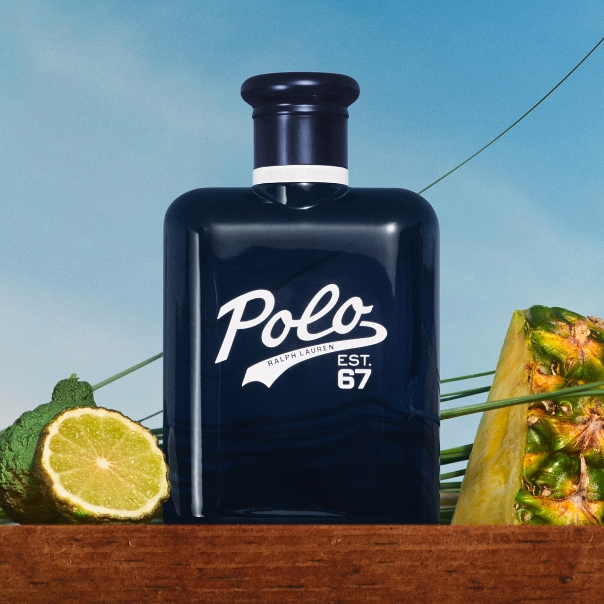 Polo 67 Eau de Toilette Woody Fresh Fragrance for Men