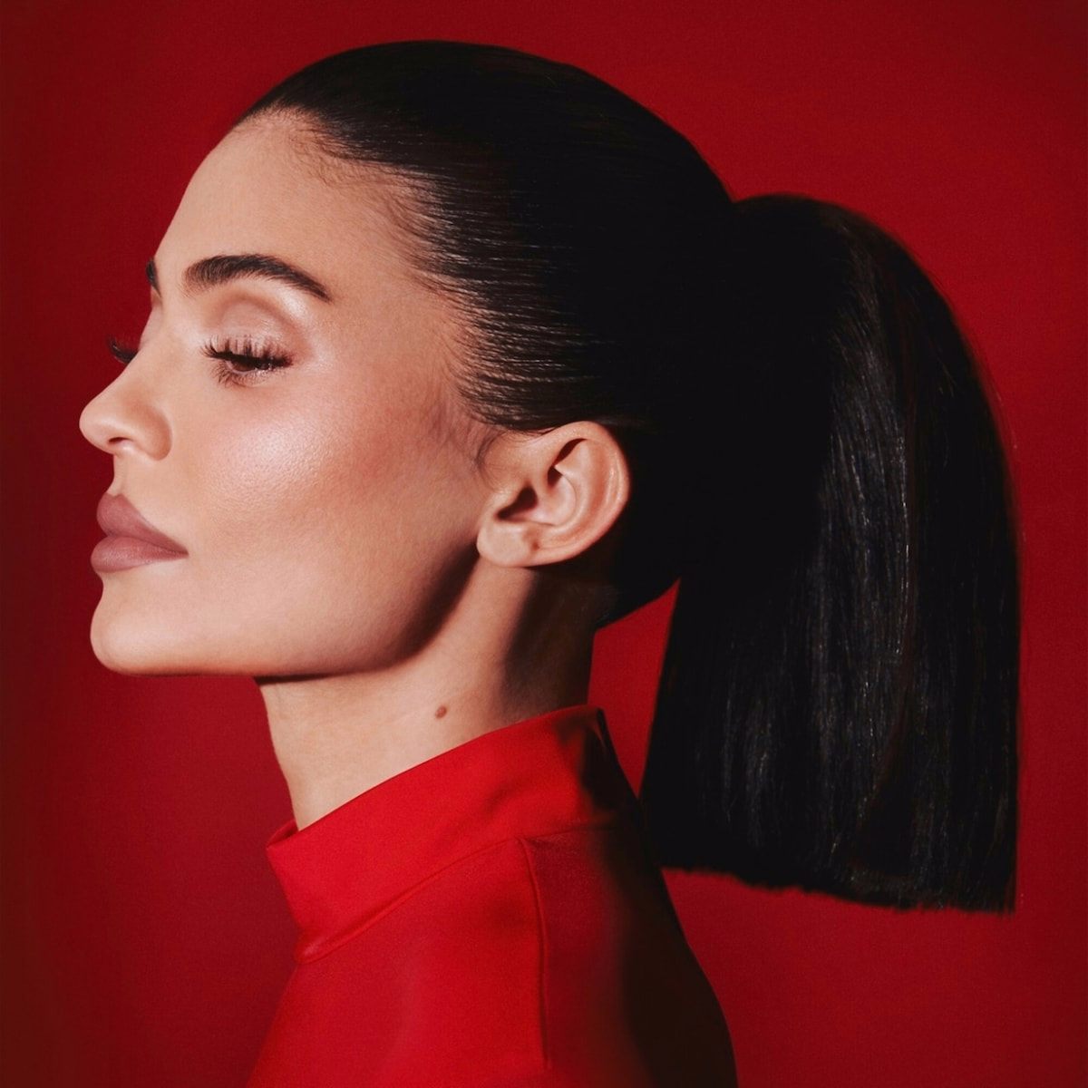 Precision Pout Lip Liner Precision Pout Lip Liner