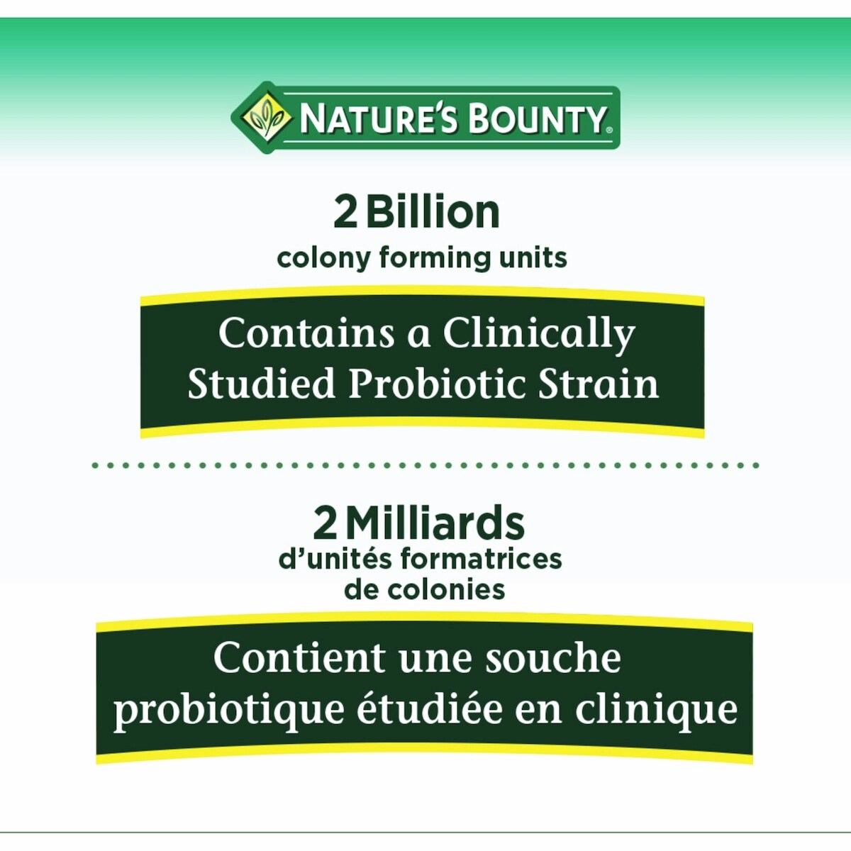 Probiotic Gummies Probiotic Gummies
