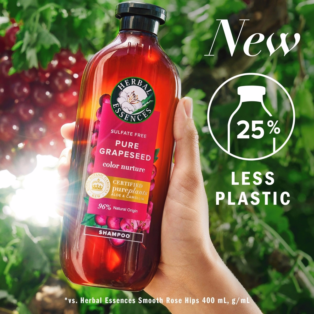 Pure Grapeseed Colour Nurture Sulfate Free Shampoo, Hair Protection and Colour Nourishment, with Certified Camellia Oil and Aloe Vera, For All Hair Ty