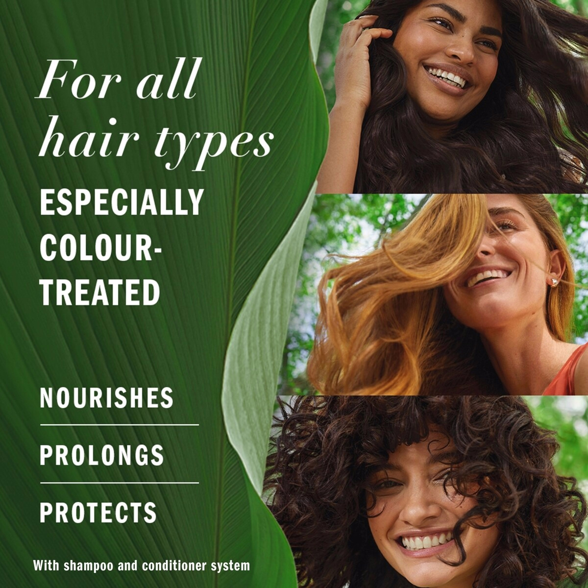 Pure Grapeseed Colour Nurture Sulfate Free Shampoo, Hair Protection and Colour Nourishment, with Certified Camellia Oil and Aloe Vera, For All Hair Types, Especially Colour Treated Hair Pure Grapeseed Colour Nurture Sulfate Free Shampoo, Hair Protection and Colour Nourishment, with Certified Camellia Oil and Aloe Vera, For All Hair Ty