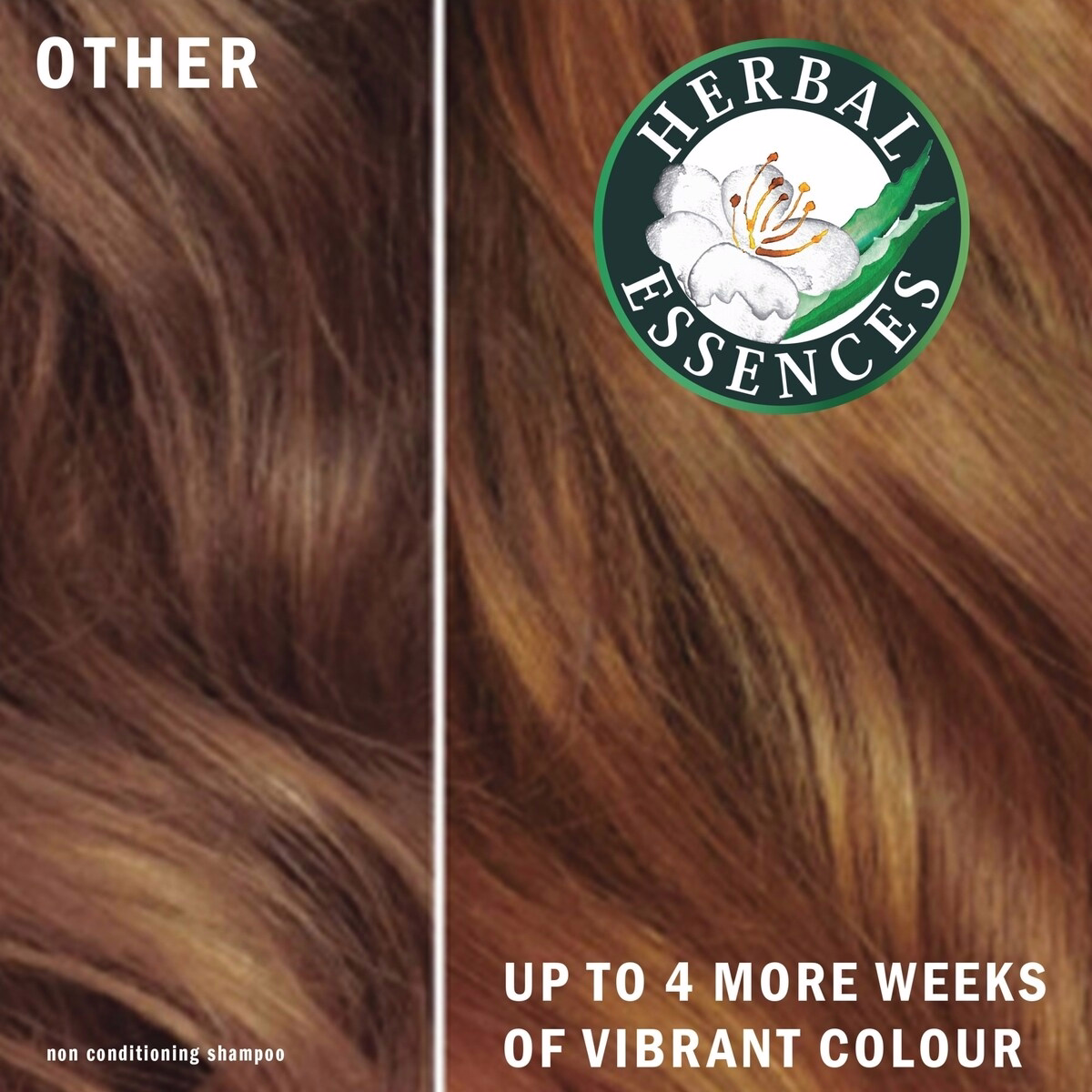 Pure Grapeseed Colour Nurture Sulfate Free Shampoo, Hair Protection and Colour Nourishment, with Certified Camellia Oil and Aloe Vera, For All Hair Types, Especially Colour Treated Hair Pure Grapeseed Colour Nurture Sulfate Free Shampoo, Hair Protection and Colour Nourishment, with Certified Camellia Oil and Aloe Vera, For All Hair Ty