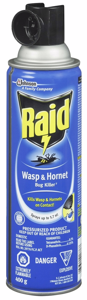 Raid Wasp/hornet Killer