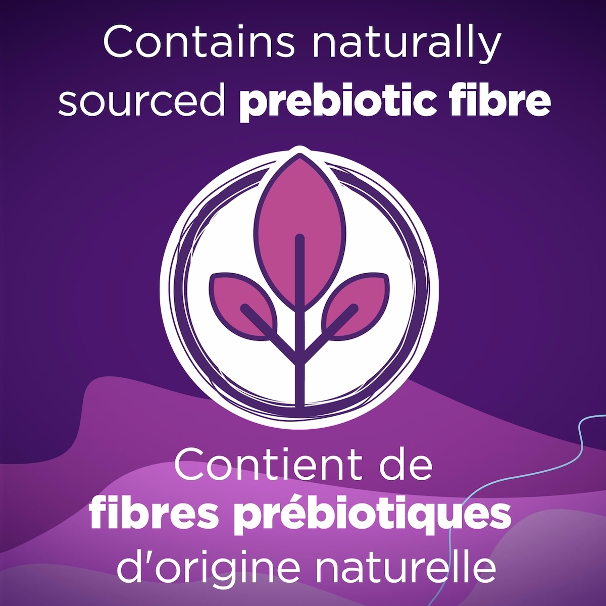 RestoraFIBRE Junior Daily Prebiotic Fibre Gummies for Kids RestoraFIBRE Junior Daily Prebiotic Fibre Gummies for Kids