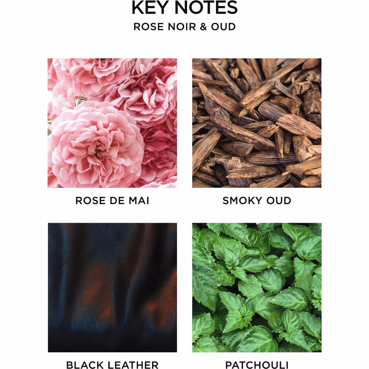 Rose Noir & Oud Reed Diffuser Rose Noir & Oud Reed Diffuser