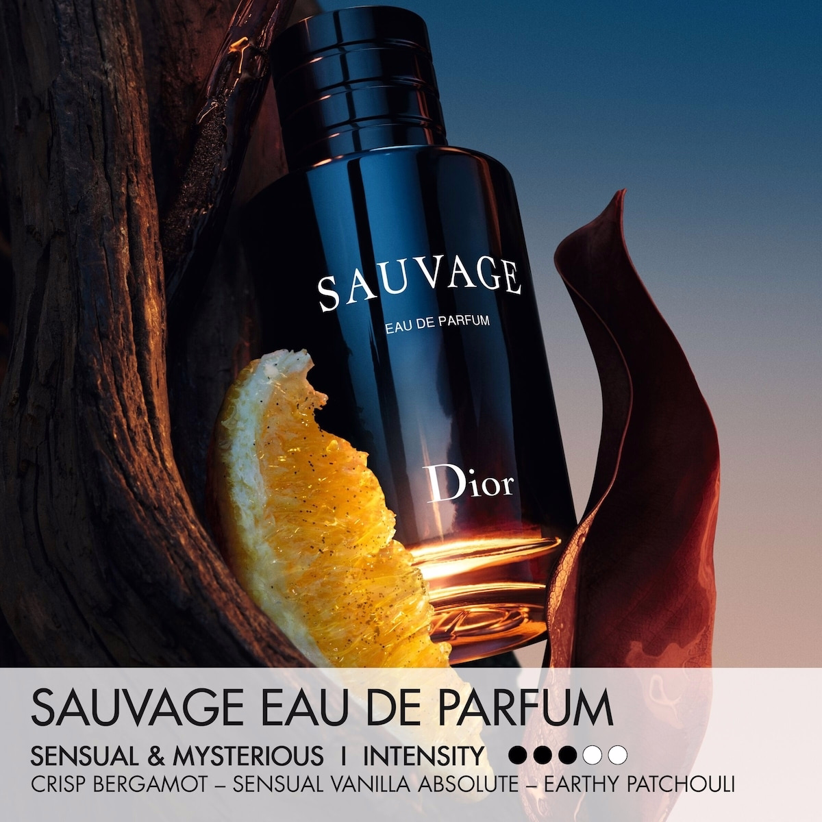 Sauvage 오드 퍼퓸 Sauvage 오드 퍼퓸