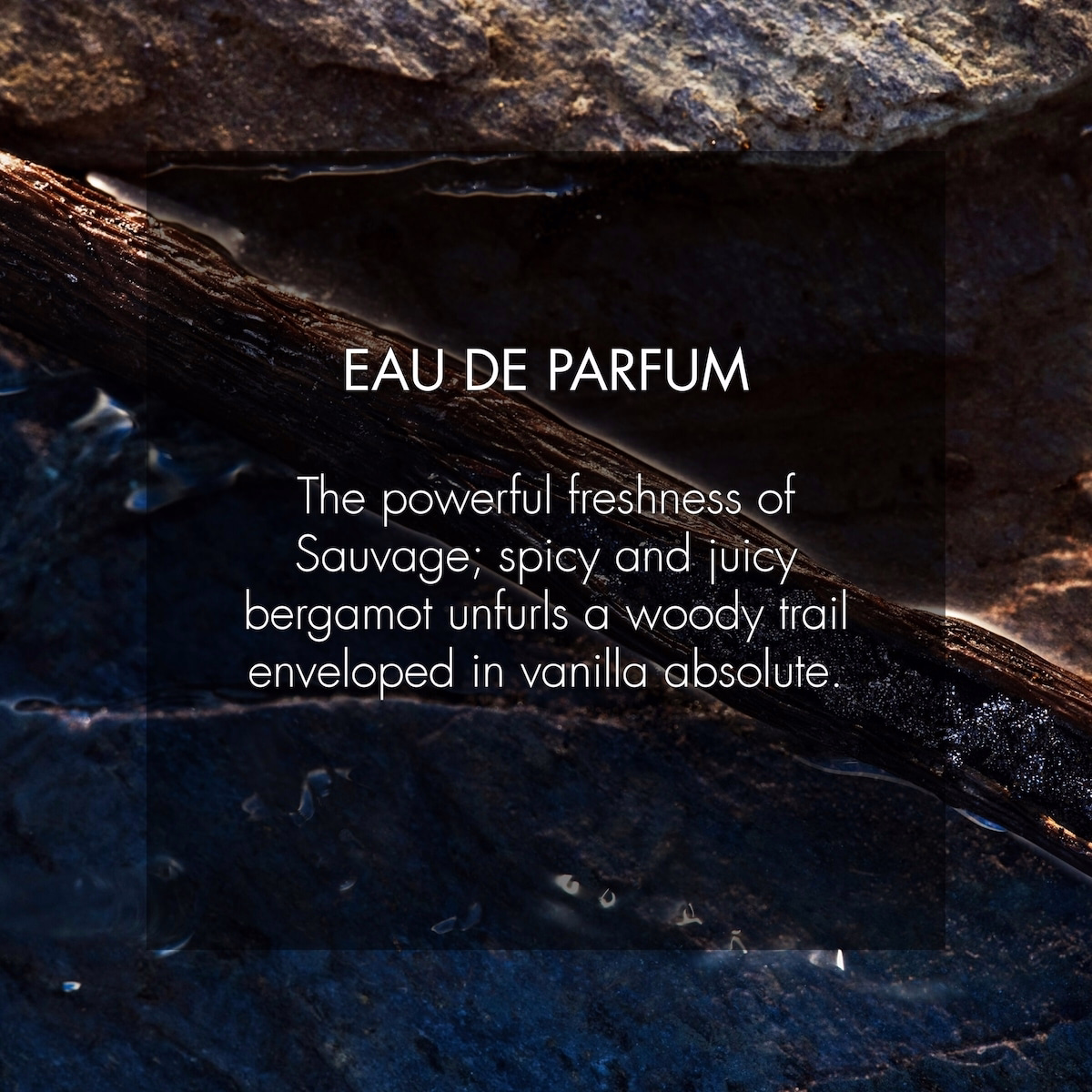 Sauvage 오드 퍼퓸 Sauvage 오드 퍼퓸