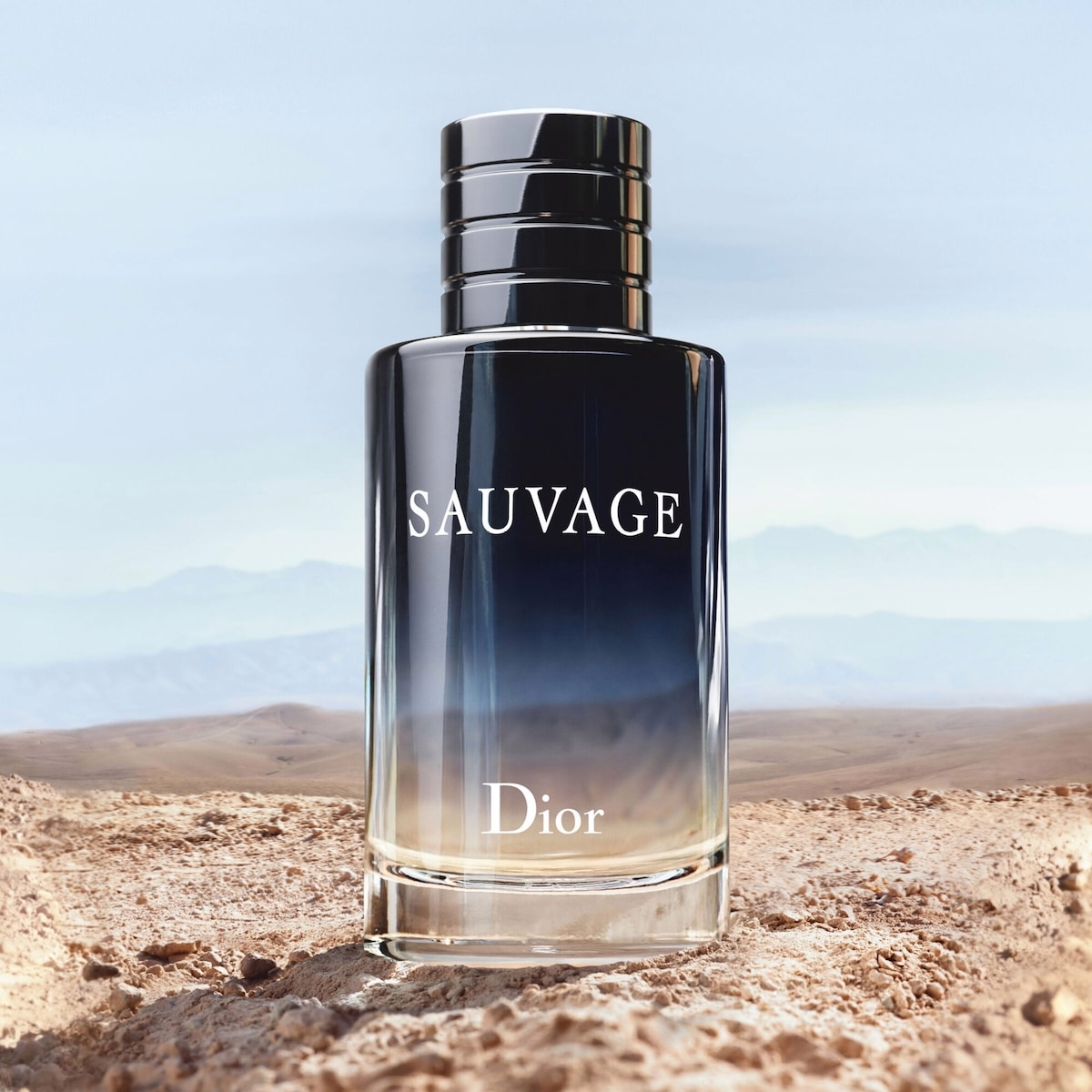 Sauvage Eau de Toilette Sauvage Eau de Toilette
