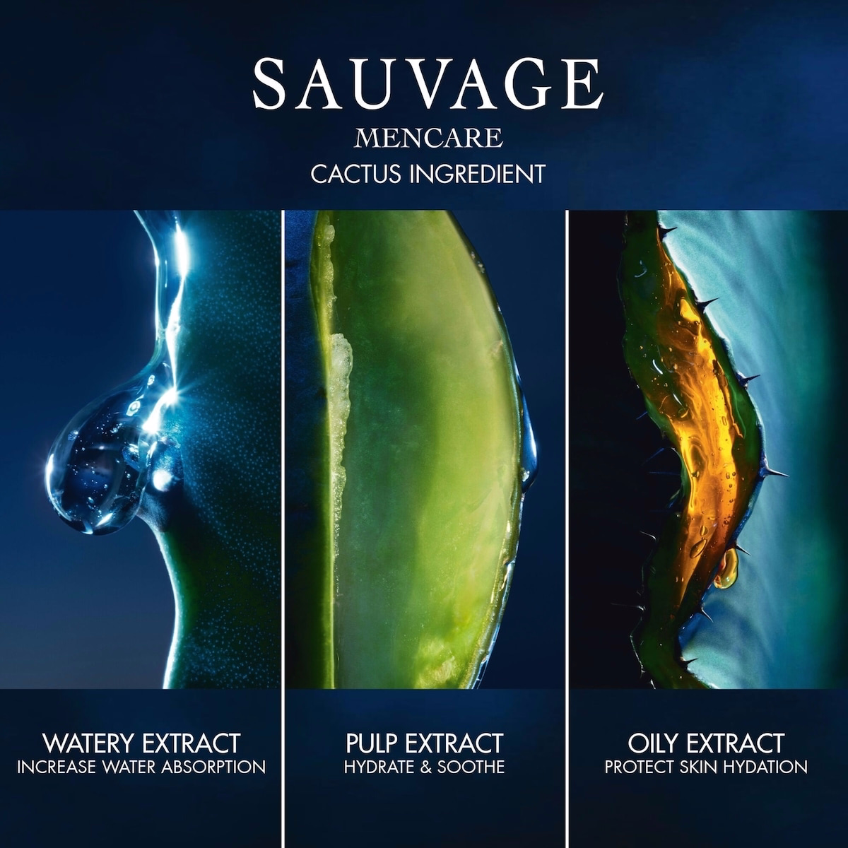 Sauvage Toner Lotion
Energizing and Soothing Facial Toner Lotion with Cactus Extract Sauvage Toner Lotion
Energizing and Soothing Facial Toner Lotion with Cactus Extract
