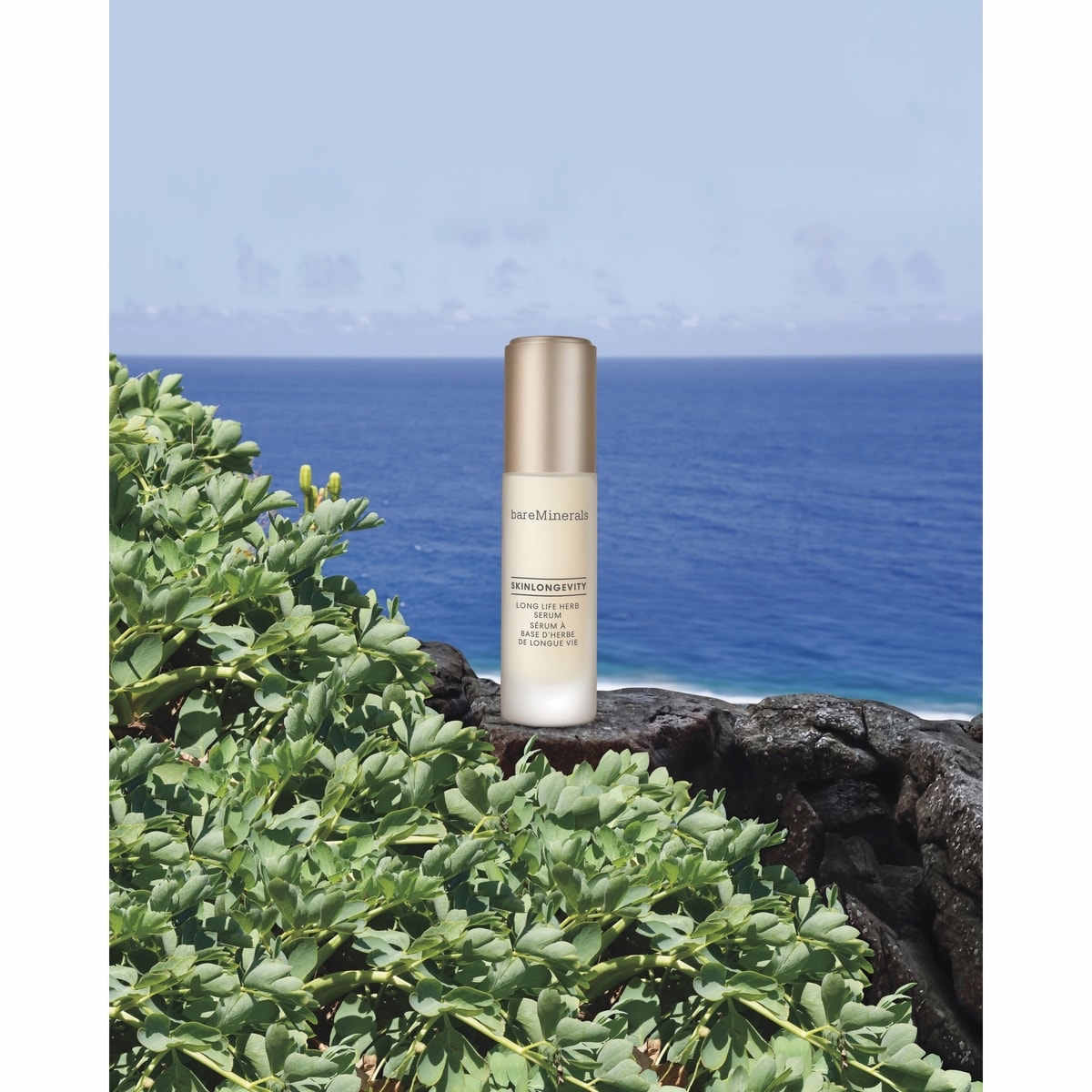 스킨론저버티 장생 허브 세럼 스킨론저버티 장생 허브 세럼