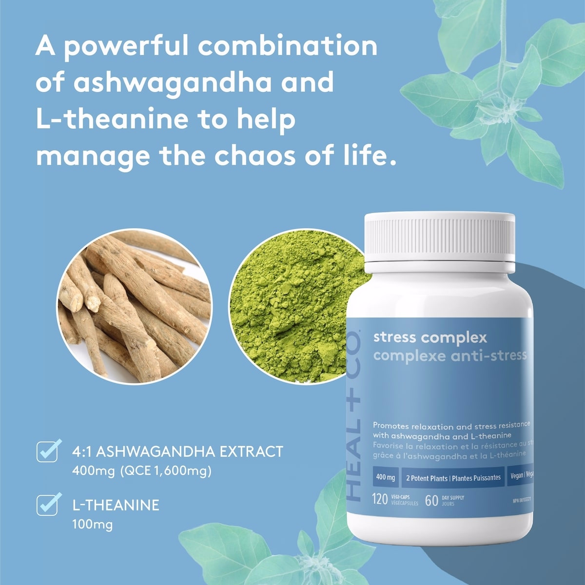 Stress Complex Stress Complex