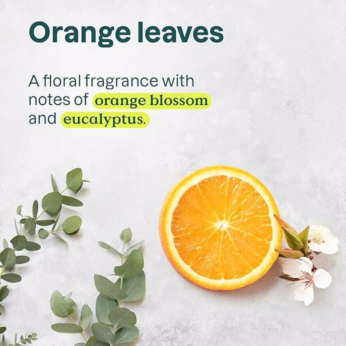 Super Leaves 身體霜 - 充滿活力 Super Leaves 身體霜 - 充滿活力