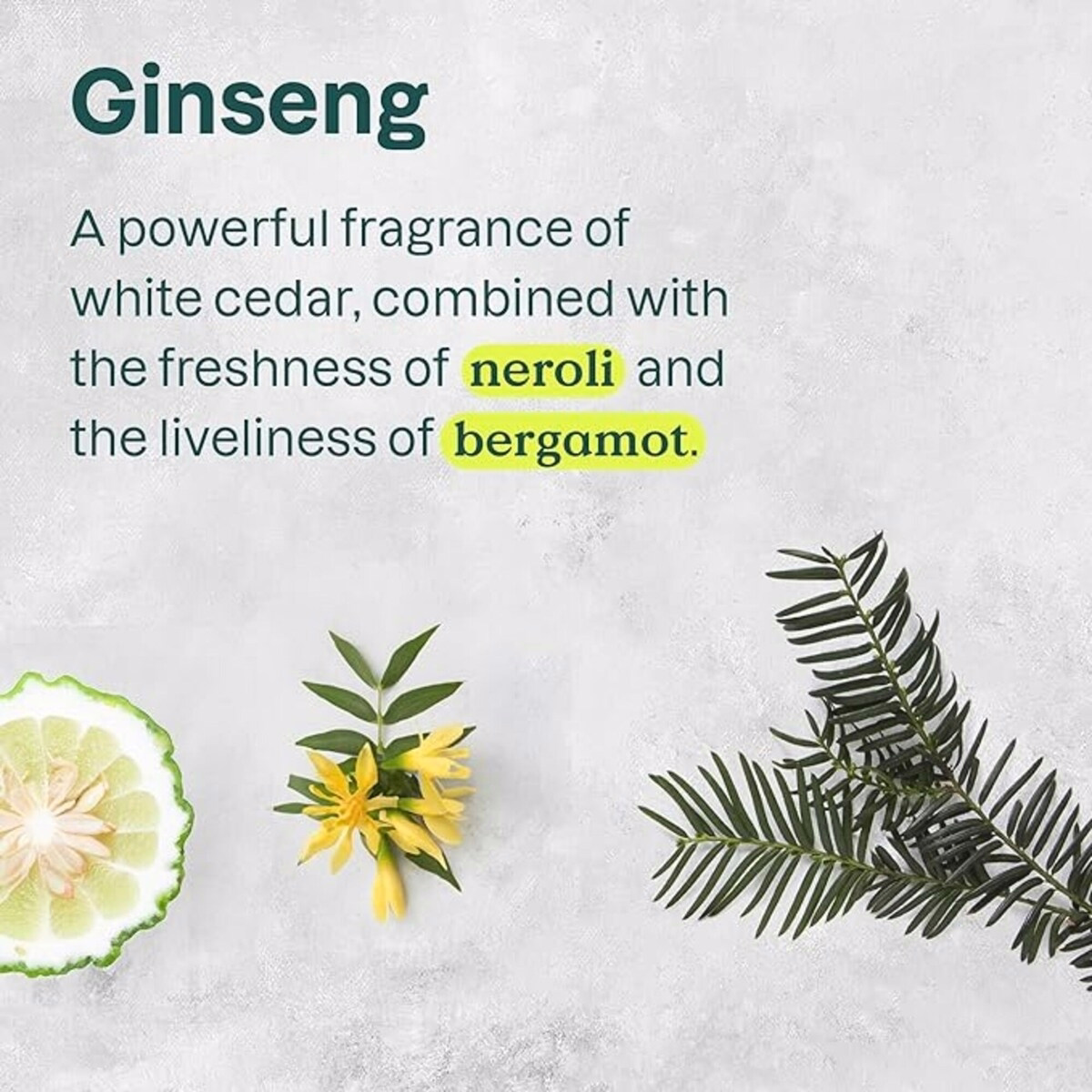 Super Leaves MEN Body Cream - energizing Super Leaves MEN Body Cream - energizing