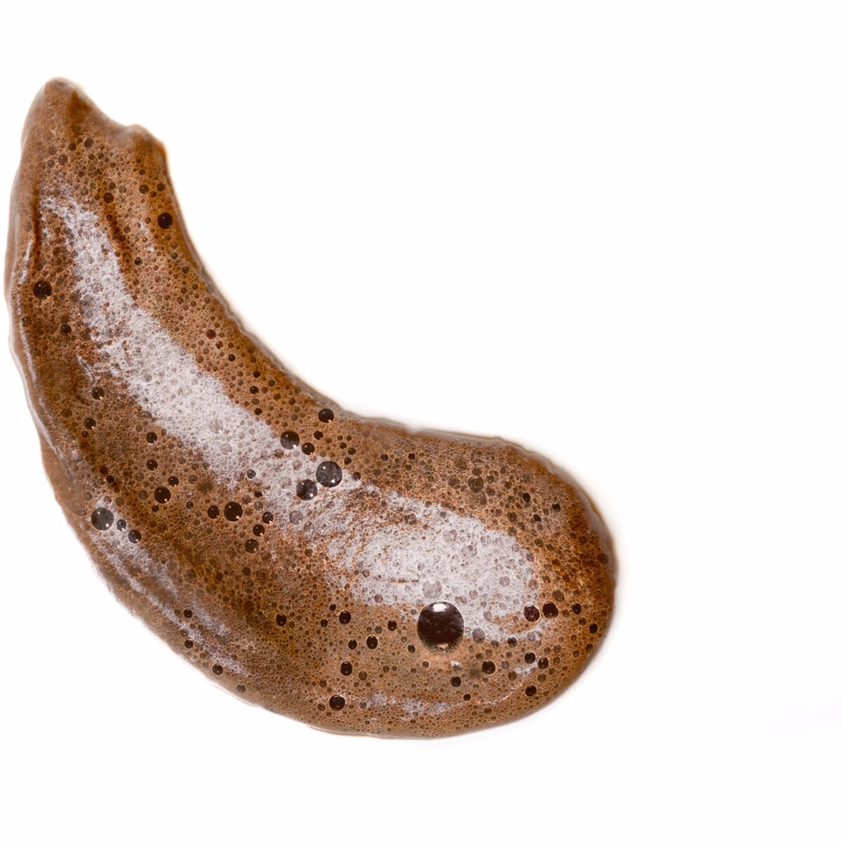 Travel Sized - Bali Bronzing Foam (medium)