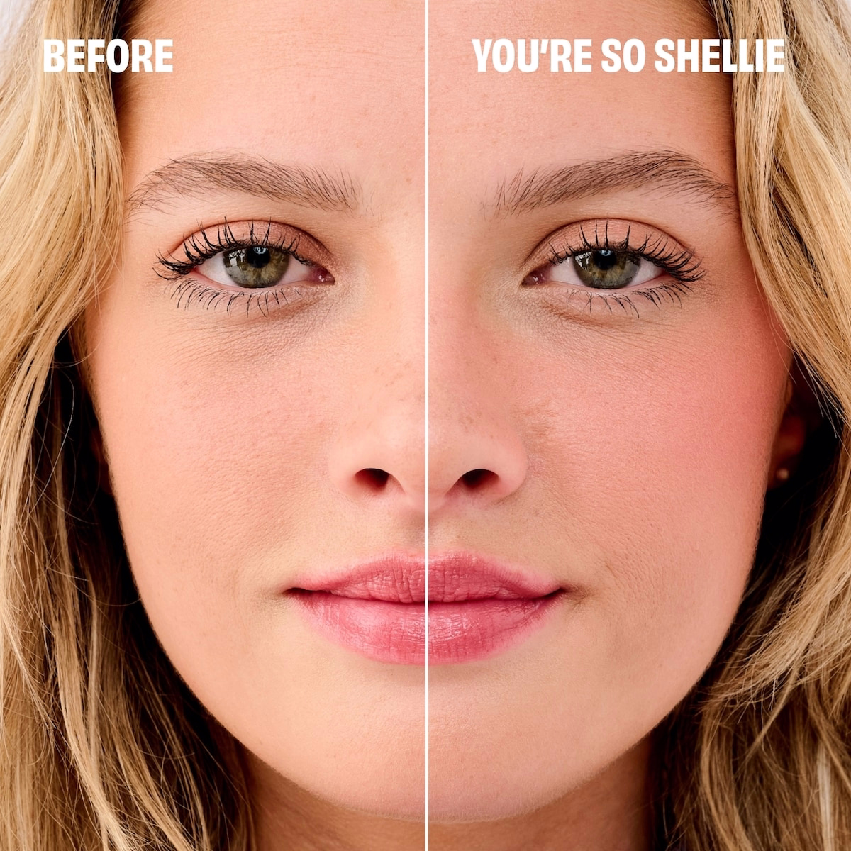 WANDERful World Blushes box o’ powder blush for face WANDERful World Blushes box o’ powder blush for face