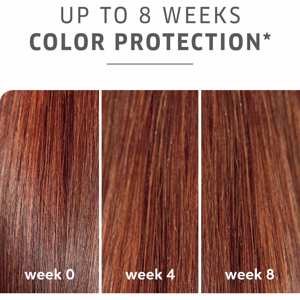 Wella Professionals ColorMotion+ Hair Color Protection Shampoo - Professional Shampoo for Colored Hair, Shampoo for Stronger Hair 250ml