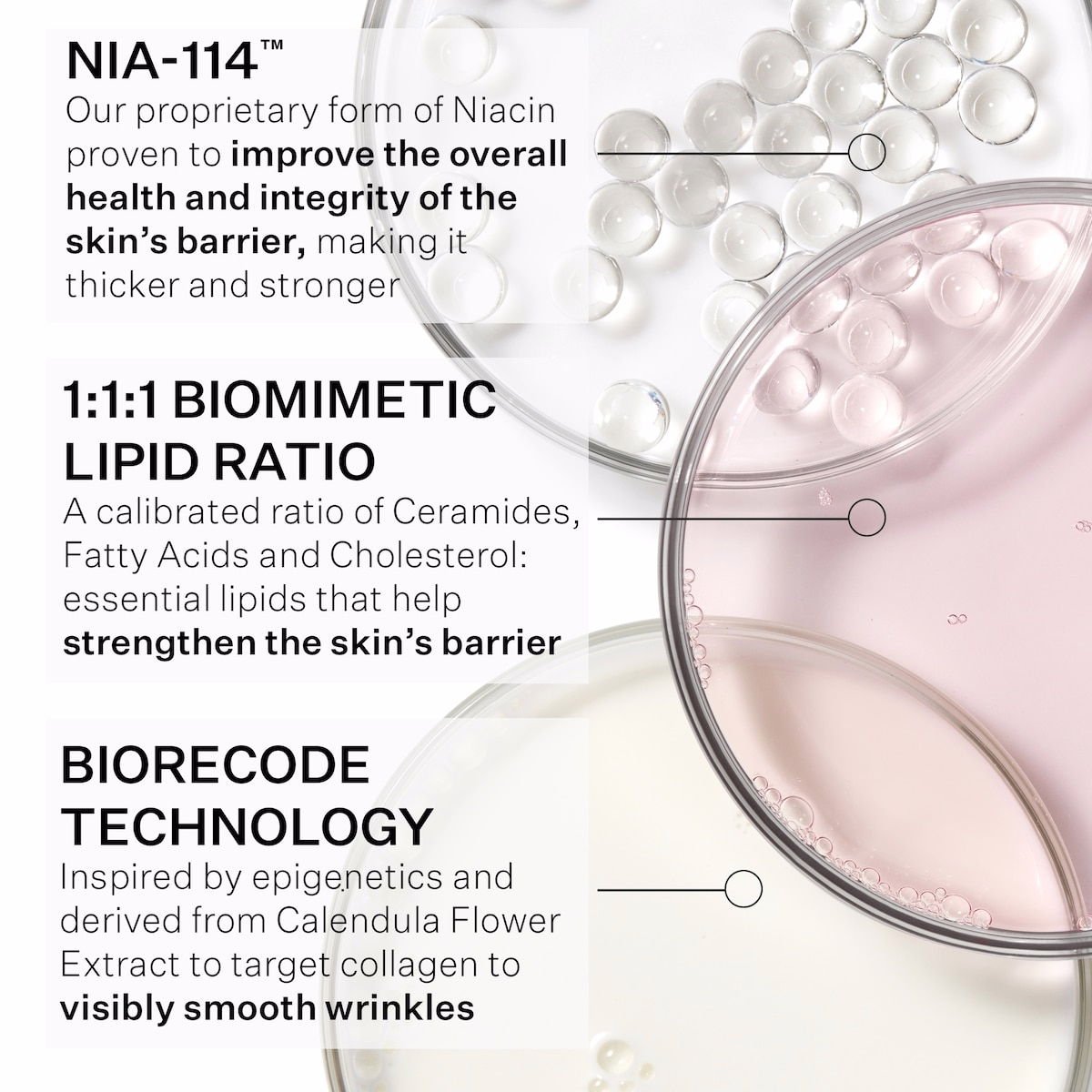 주름 리코드 수분 풍부한 장벽 크림 주름 리코드 수분 풍부한 장벽 크림